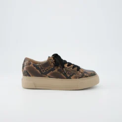 Paul Green Sneaker|Sneaker 5469-058 Braun kombiniert / Reptil
